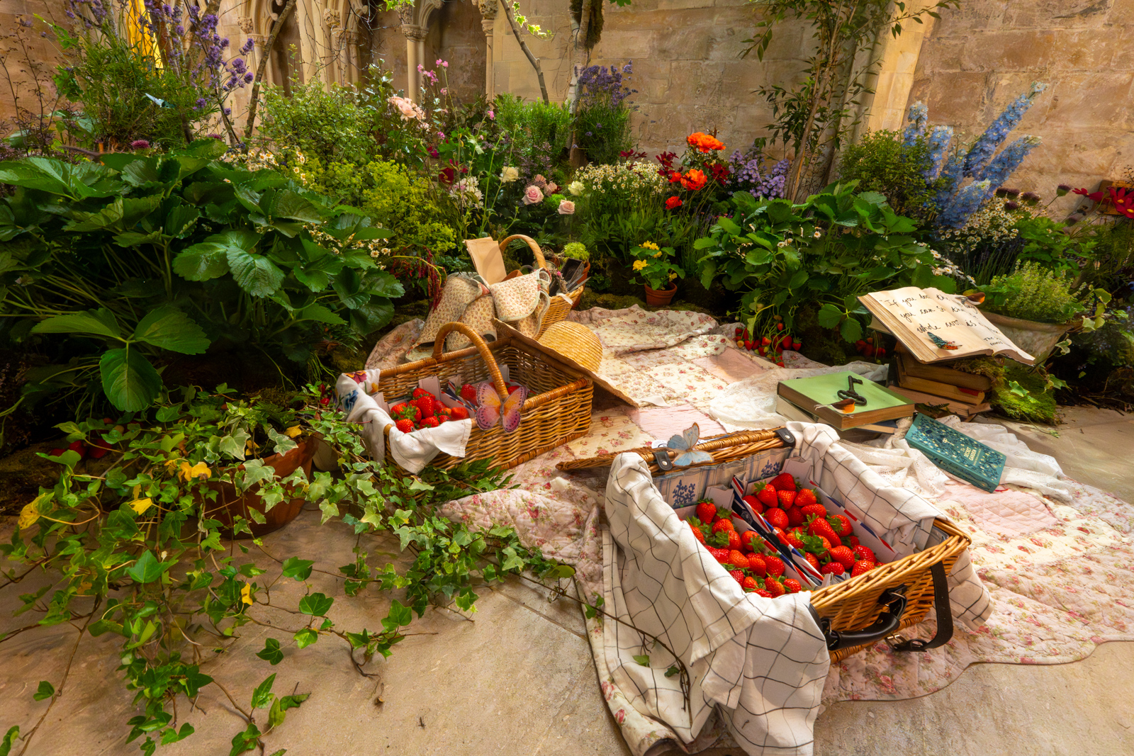 Photography by Chris Allington